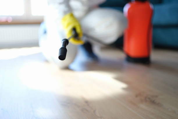 Best Mold Documentation for Insurance Claims  in Aust, IN